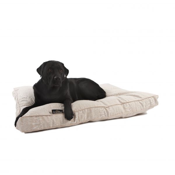 Product image for 11379