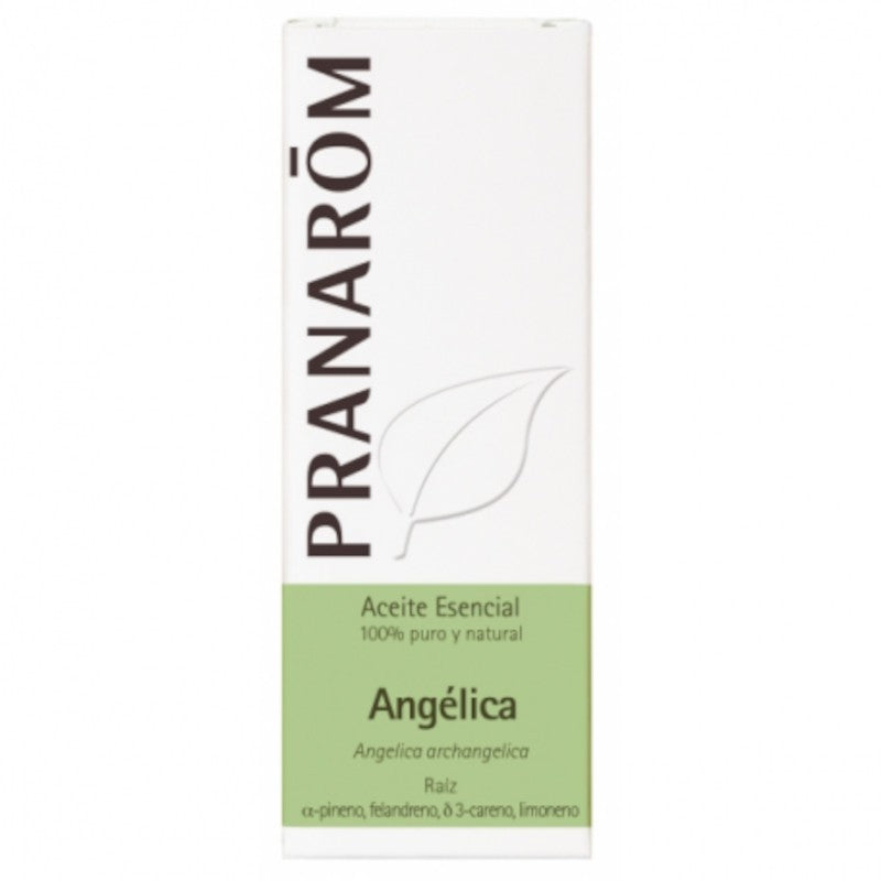 Pranarom Aceite Esencial Angélica Raíz 5 ml-1