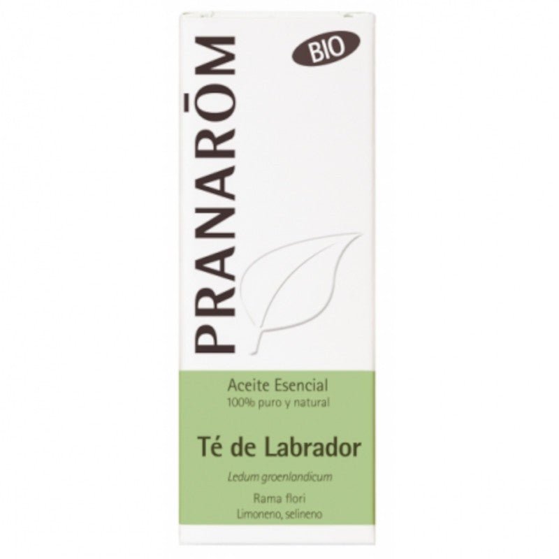 Pranarom Aceite Esencial Té de Labrador Bio 5 ml-1