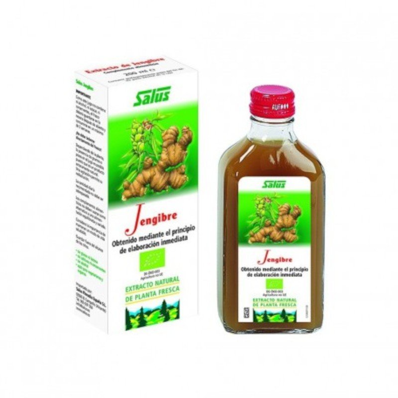 Salus Jugo de Jengibre 200 ml-1