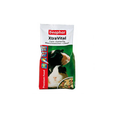 Product image for 10497