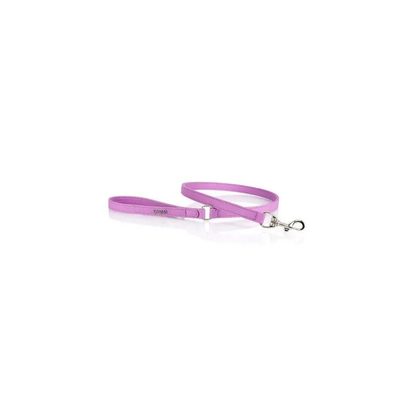 Product image for 17648