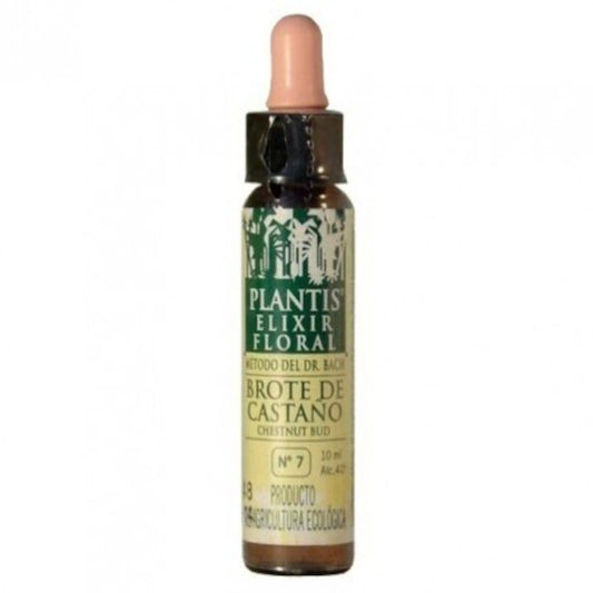 Artesanía Agrícola Plantis Nº 7 Brote Castaño 10 ml-1