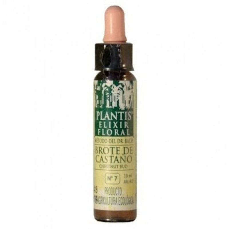 Artesanía Agrícola Plantis Nº 7 Brote Castaño 10 ml-1