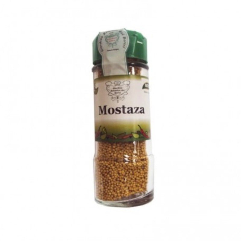 Biocop Condimento de Mostaza 60 g-1