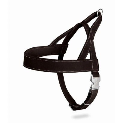 Product image for 17619