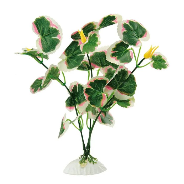 Product image for 13997