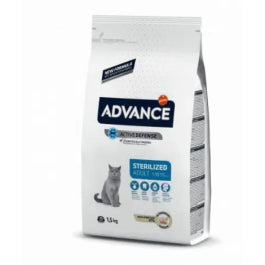 Product image for 9981