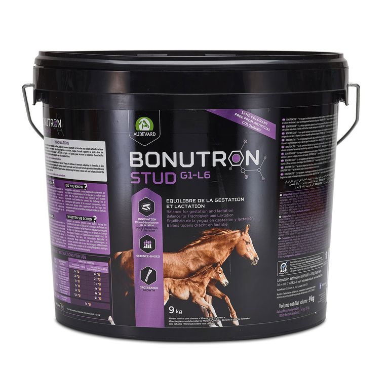 Product image for 13646