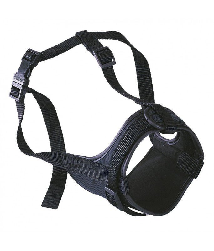 Product image for 14145