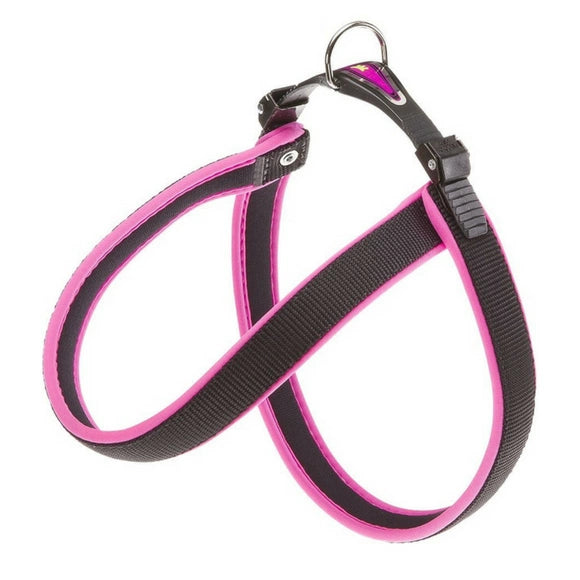 Product image for 14436