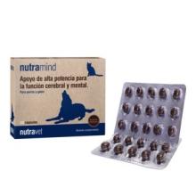 Product image for 11370