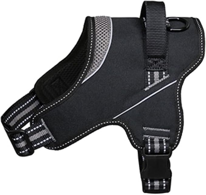 Product image for 11988
