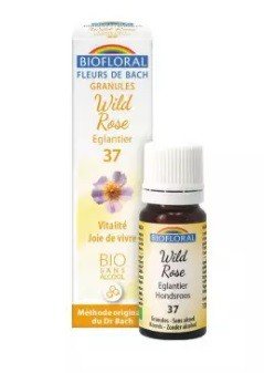 Biofloral Wild Rose - Escaramujo 37 (Vitalidad y Alegría de Vivir) Flores de Bach Bio Gránulos Sin Alcohol 9 g-1