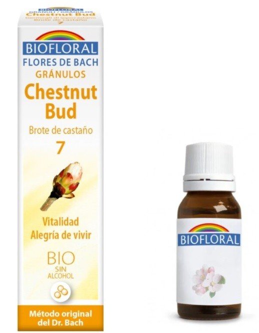 Biofloral Chestnut Bud - Brote de Castaño 7 (Vitalidad y Alegría de Vivir) Flores de Bach Bio Gránulos Sin Alcohol 9 g-1