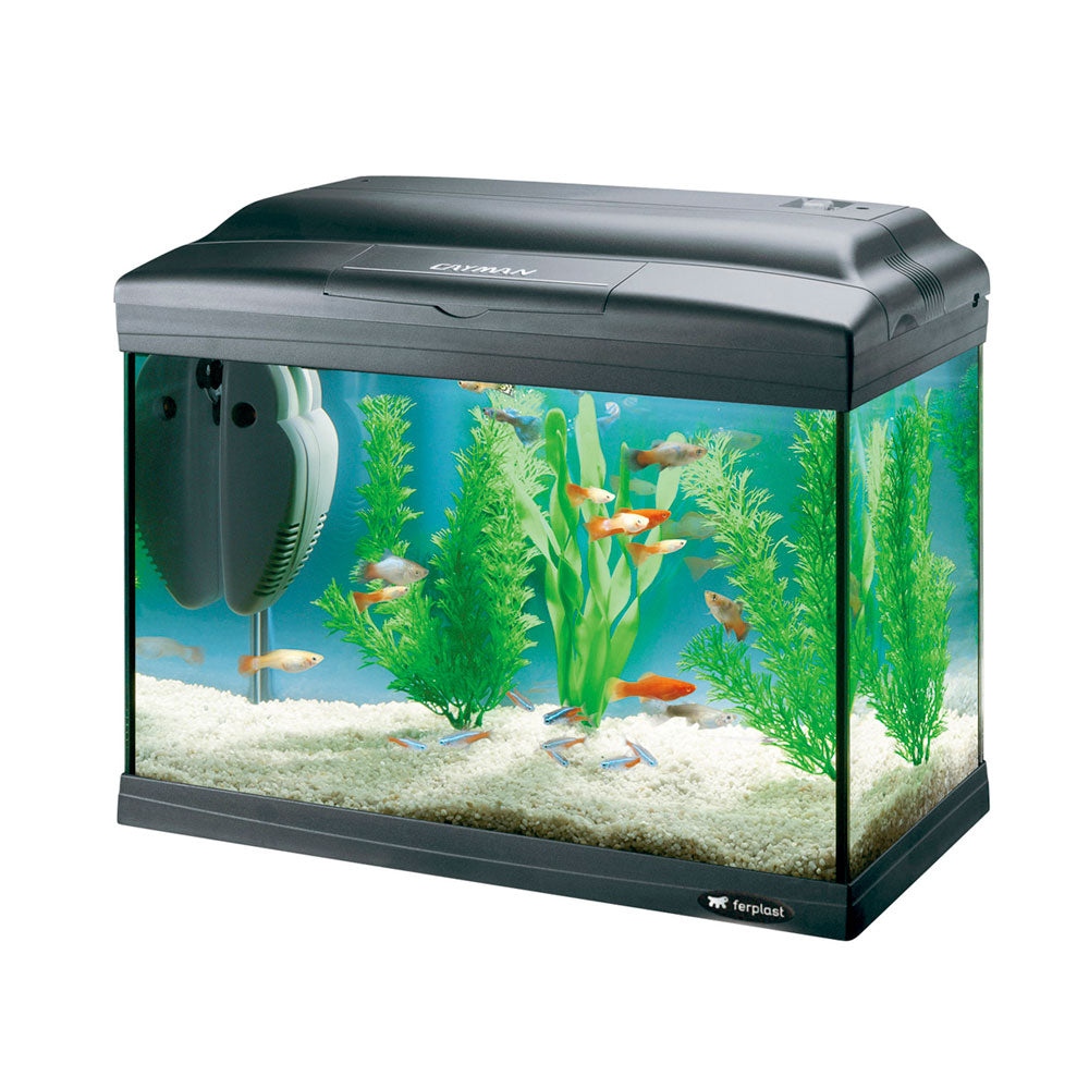 Product image for 15655