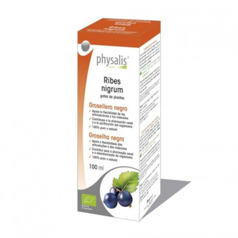 Physalis Extracto Grosellero Negro (Ribes Nigrum) Bio 100 ml-1