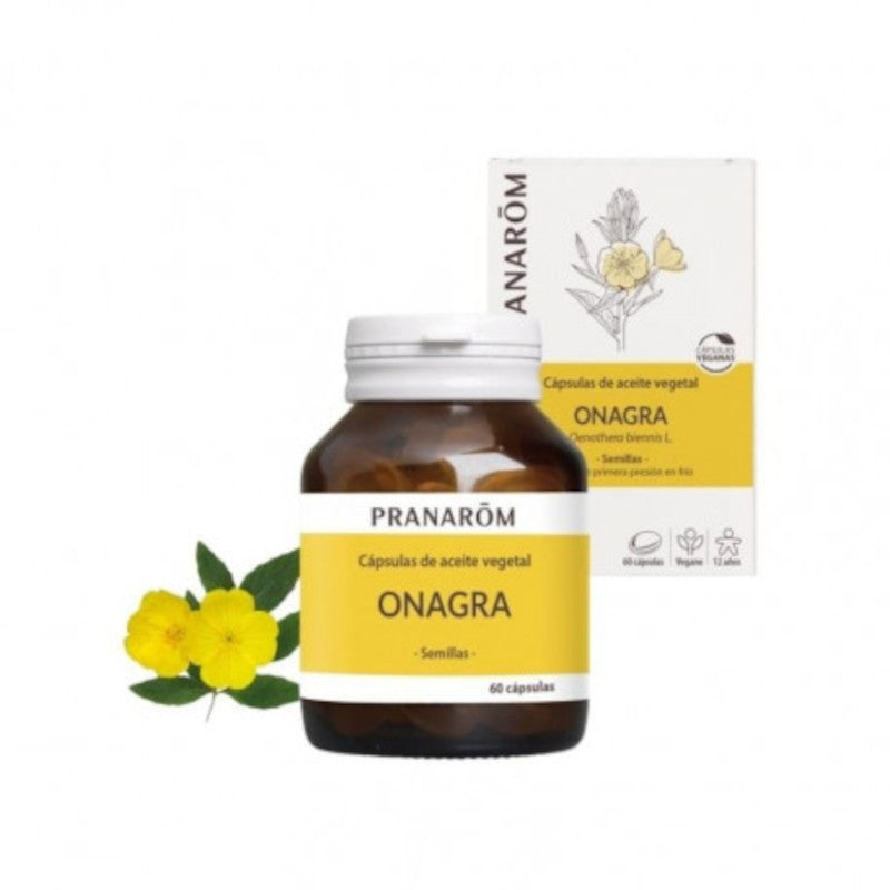 Probioticos San Aceite de Onagra 60 Cápsulas-1