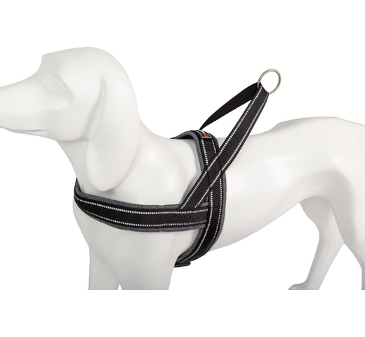 Product image for 16456