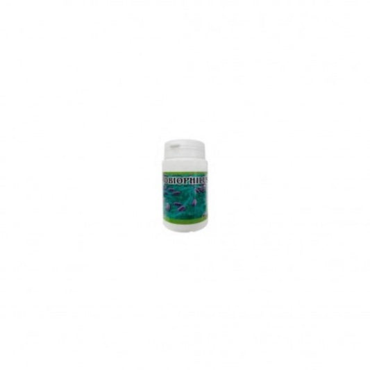 Treman Probiophilus 60 Cápsulas-1