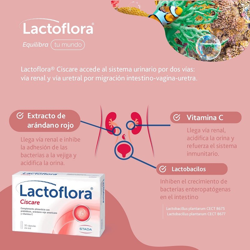 LACTOFLORA Ciscare Probiótico Arándano Rojo 30 caps + Protector Íntimo 20 caps-3