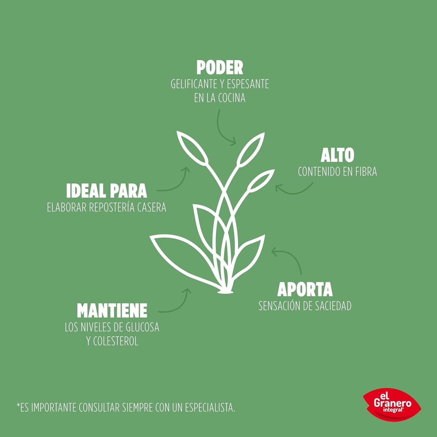El Granero Psyllium Bio 400 g-2