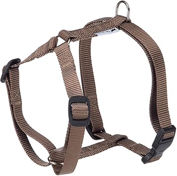 Product image for 15717