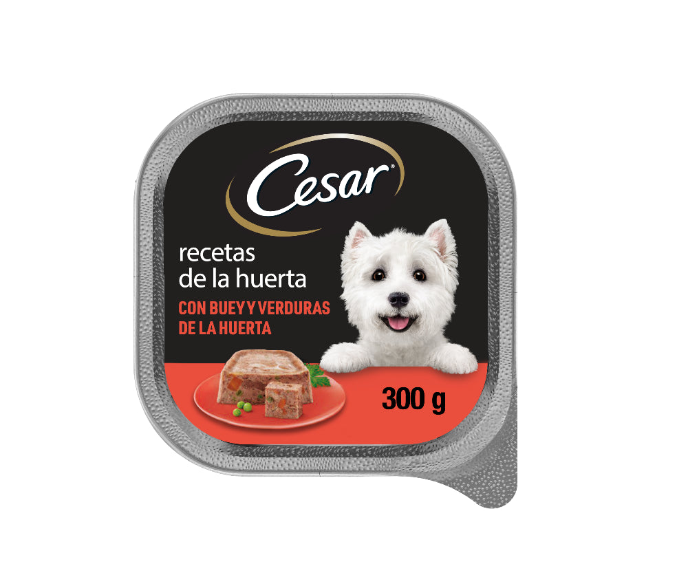 Product image for 13785