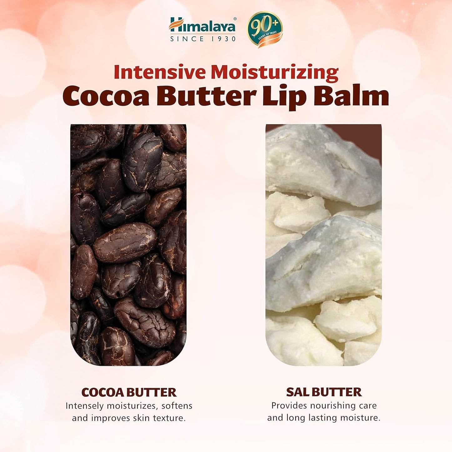 Himalaya Bálsamo Labial Manteca Cacao 4,5 g-3