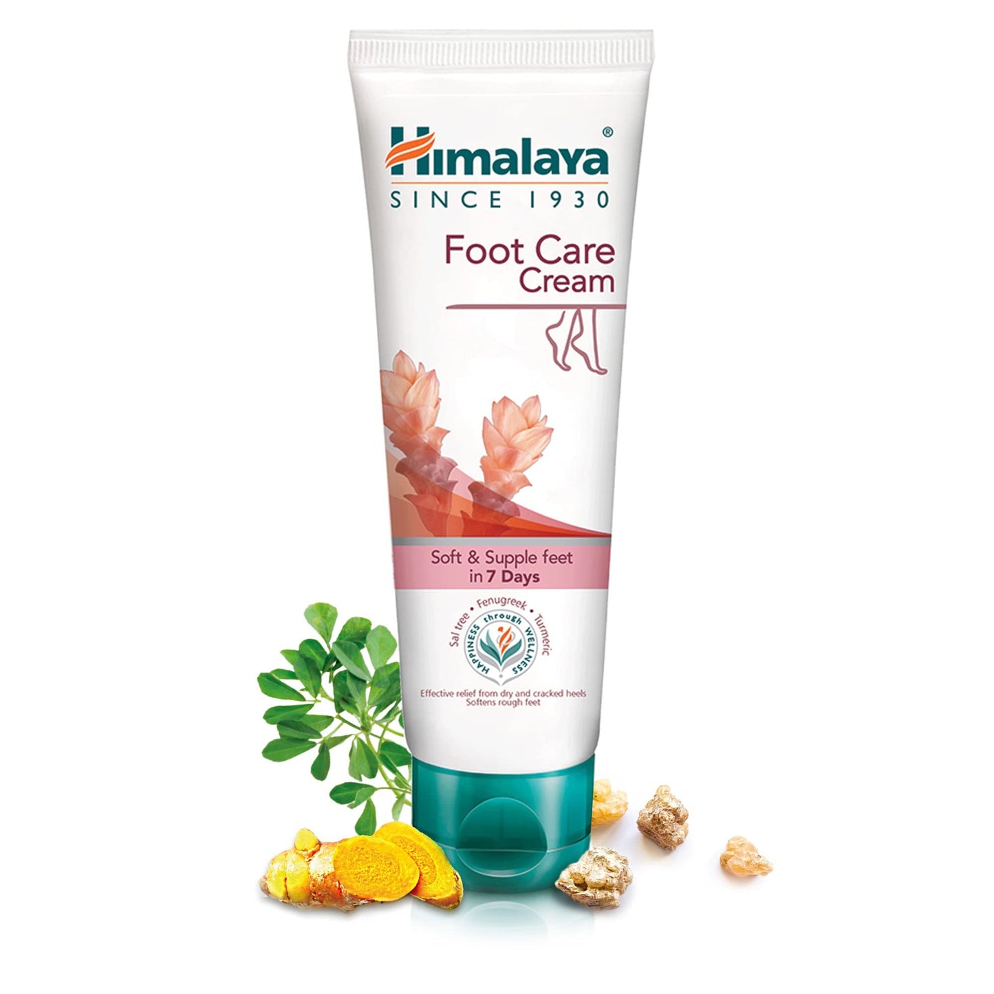 Himalaya Crema de Pies 75 ml-1