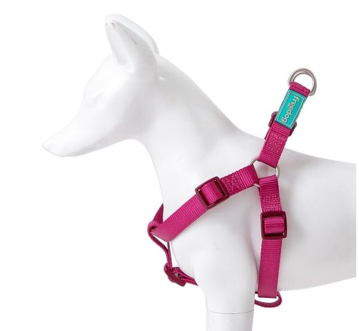 Product image for 16377