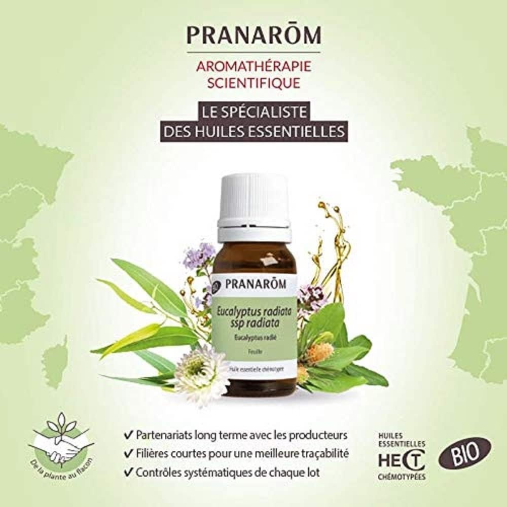 Pranarom Aceite Esencial Cedro Himalaya 10 ml-2