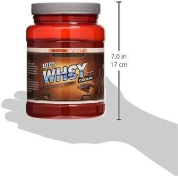 Sotya Beslan Whey 100% Choco 500 g-4