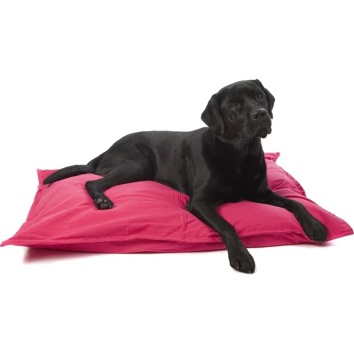 Product image for 16623