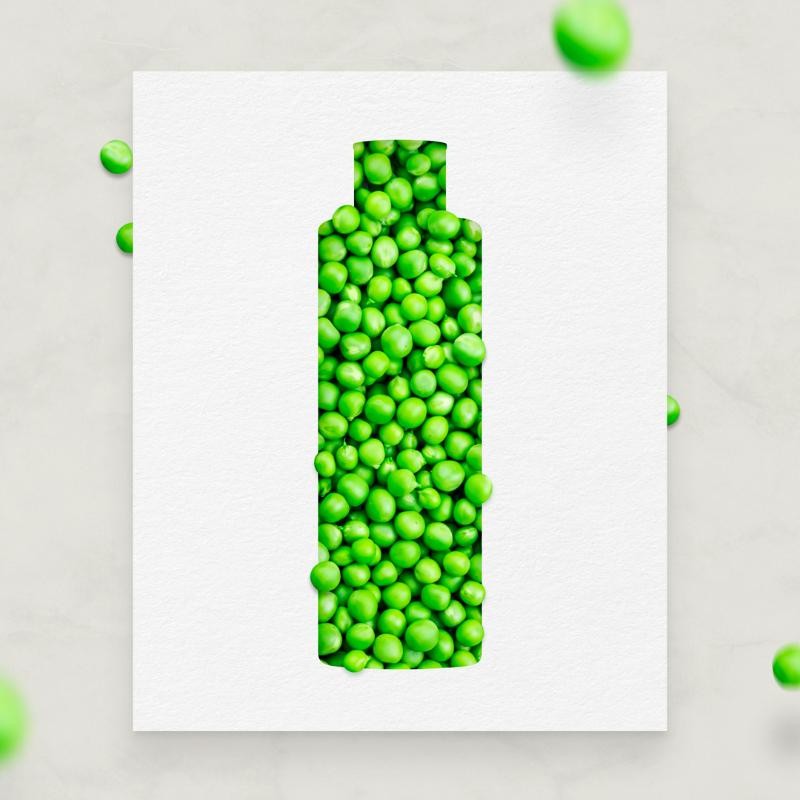 Green Cornerss Care Champú de Guisante 300 ml-7