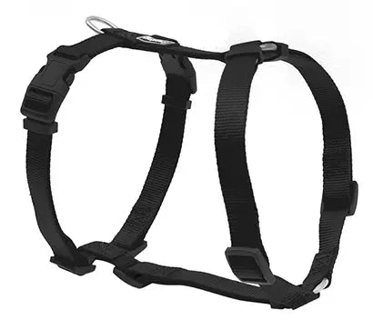 Product image for 15970