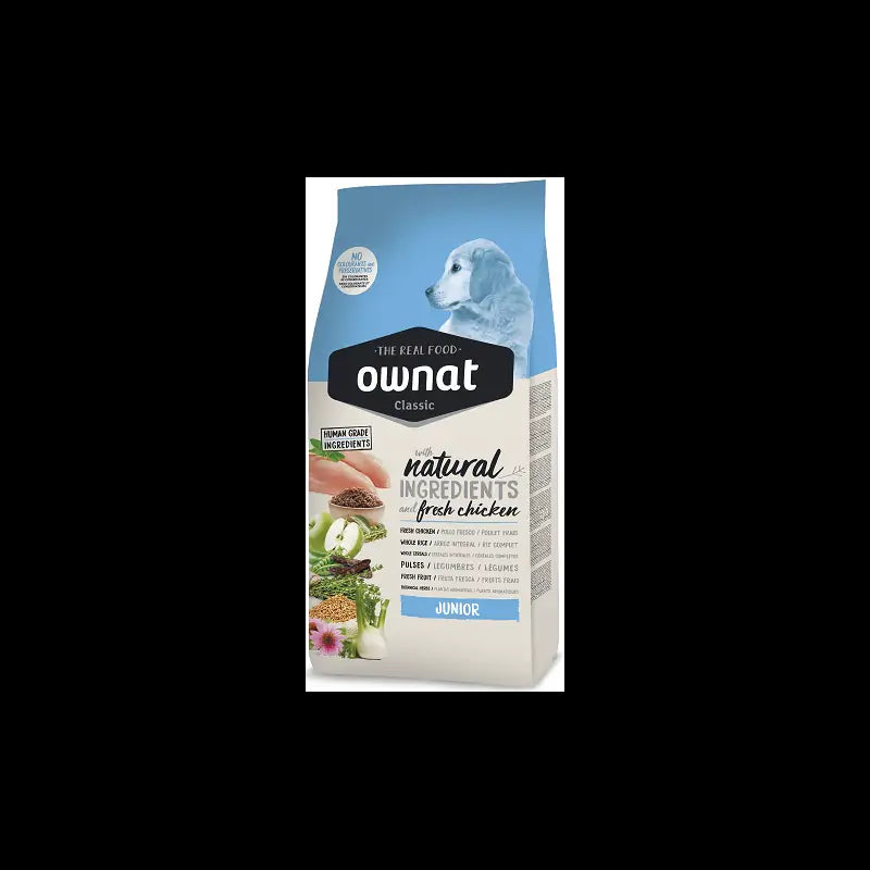 Product image for 10166