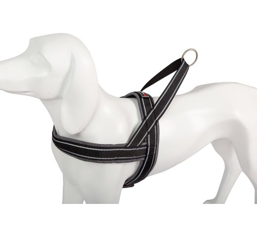 Product image for 16391