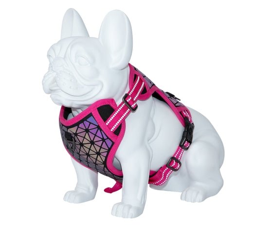 Product image for 16349