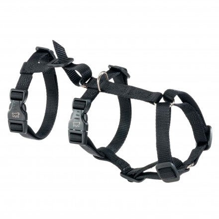 Product image for 11487