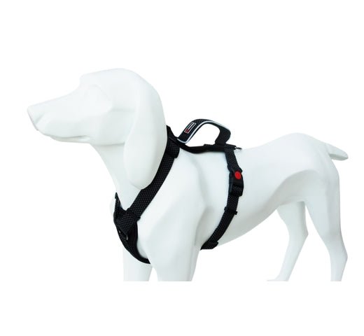 Product image for 16449