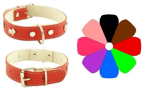 Product image for 17667