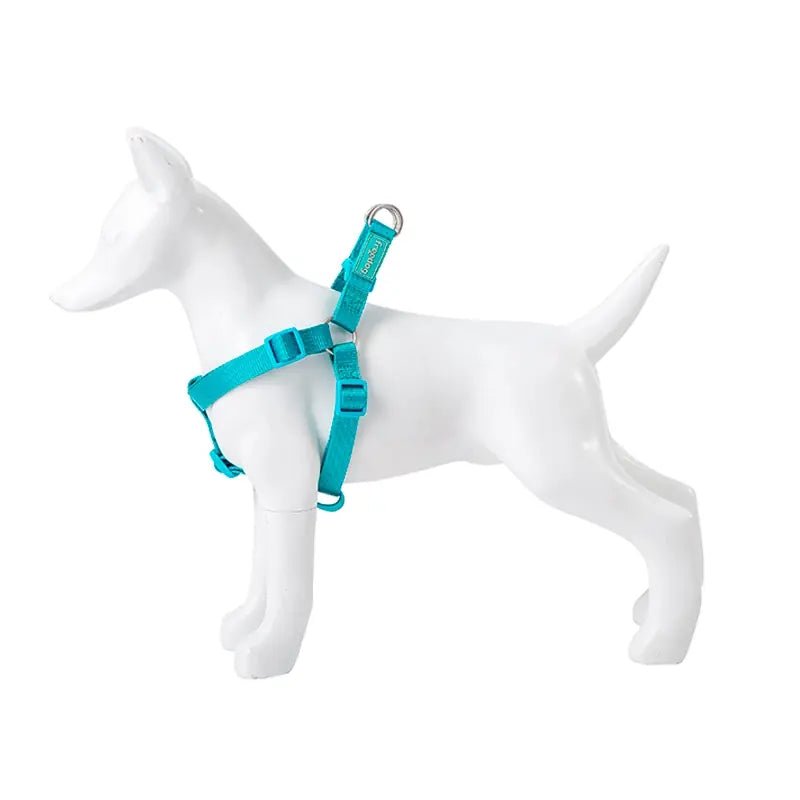 Product image for 16315