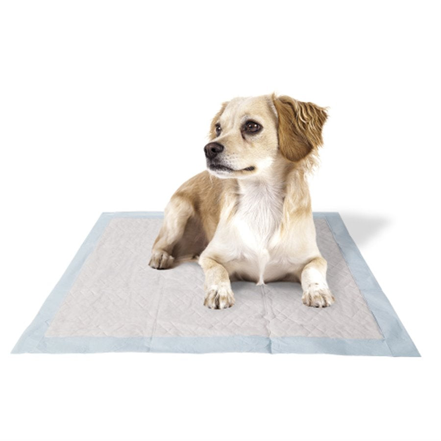 Product image for 14961