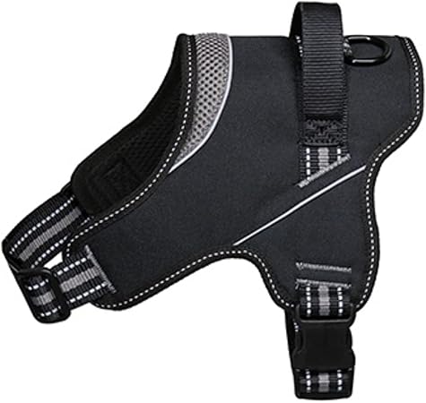 Product image for 11988