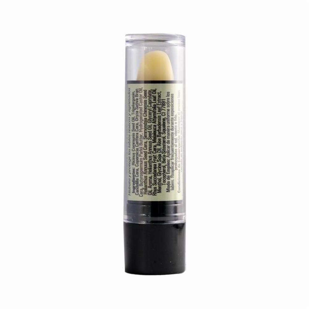 Bifemme Stick Protector Labial Aloe Vera 4 g-2