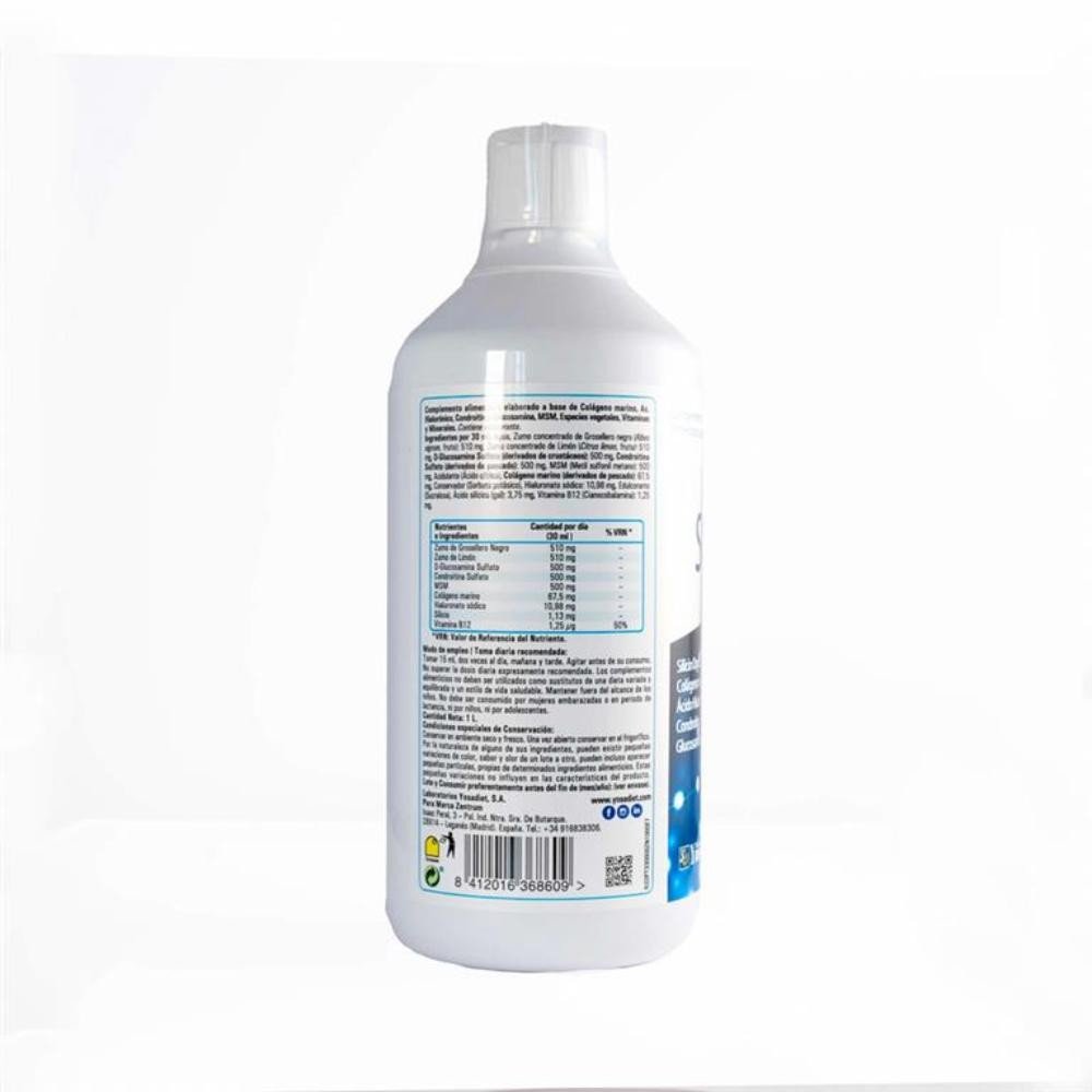 Zentrum Silicon Complex 1L-2