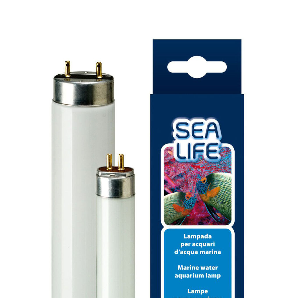 Product image for 14432