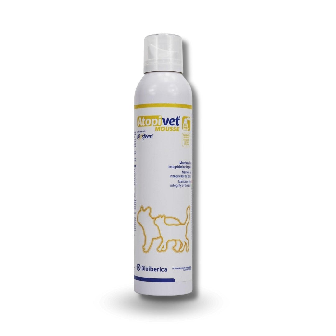Product image for 11580