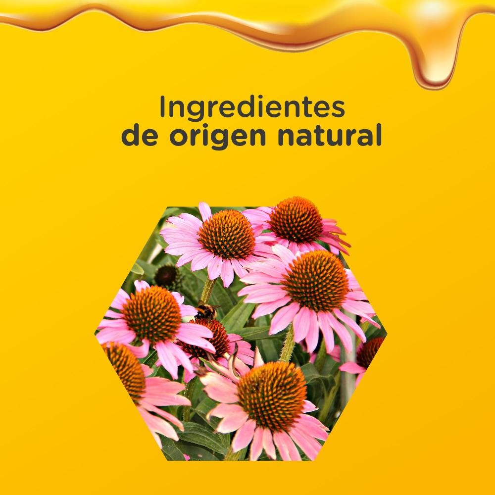 Zarbees Inmunidad Adulto 120ml-6